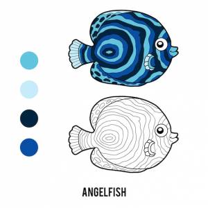 Книжка-раскраска рыба-ангел