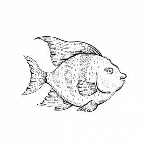 Тропическая рыба векторный рисунок животных иллюстрация черная линия рыба- ангел аквариум рисованной искусство