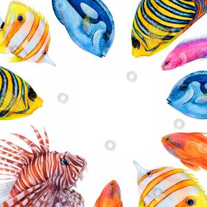 Акварельный рисунок в квадратной рамке из разноцветных рыбок