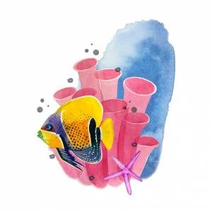 Акварельная композиция на белом фоне величественная желто-голубая рыба-ангел на фоне