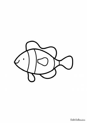 Раскраска Оранжево-белая рыба-клоун