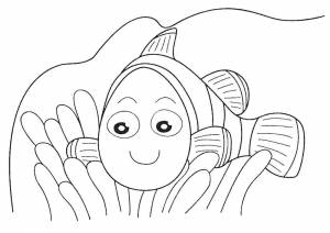 Раскраски клоун, Раскраска Рыба клоун в поисках немо рыбы