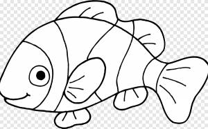 Открытая графика Рыба Клоун, угол, белый png