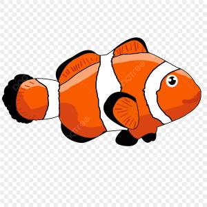 Красная сторона рыба клоун картинки PNG , Clownfish, Клип арт, питание PNG картинки и пнг PSD рисунок для й загрузки