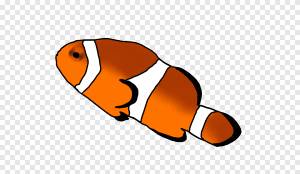 Рыба-клоун, животные, фотография png