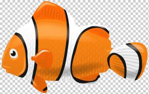 Clownfish Computer Icons, Рыбалка, животные, оранжевый, инкапсулированный PostScript png