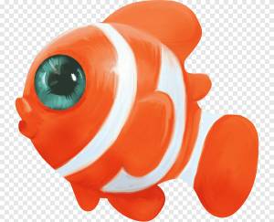 Рисунок рыбы-клоуна, рыба, животные, оранжевый png