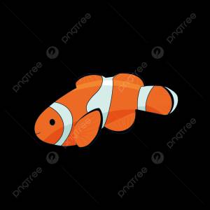 Триколор рыба клоун картинки PNG , морская жизнь, Мультяшный стиль, Clownfish PNG картинки и пнг PSD рисунок для й загрузки