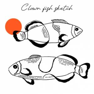 Графическая иллюстрация рыбы-клоуна улыбающаяся рыба-клоун окраска страницы вектор