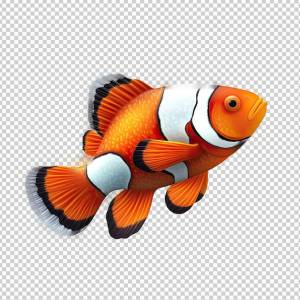 Psd рыба-клоун изолирована на прозрачном фоне hd png