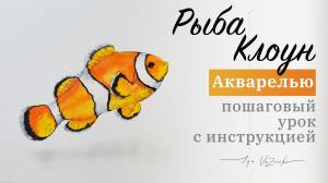 Как нарисовать Рыбу Клоуна акварелью поэтапно, реалистичный рисунок рыбы