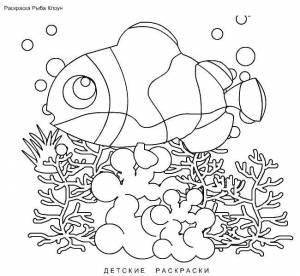 Раскраски Раскраска Рыба клоун рыбы