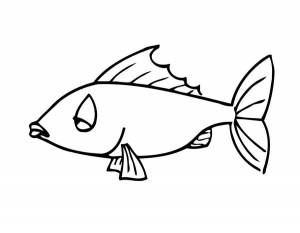 Раскраски Рыбки