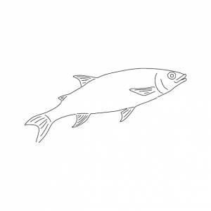 Эскиз сельди рыбы ручной рисунок векторной иллюстрации
