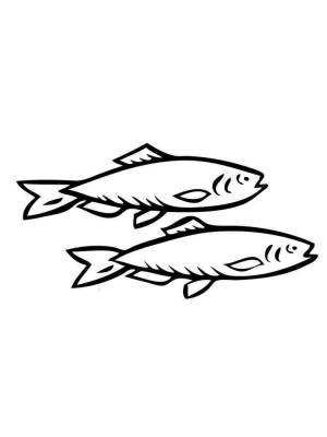 Раскраска рыба Сельдь