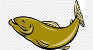 Сельдь, Прыгающая рыба, еда, животные, прыжки Рыба png