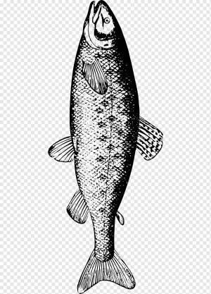 Рыбалка Трилогия Фиш Компани Лтд