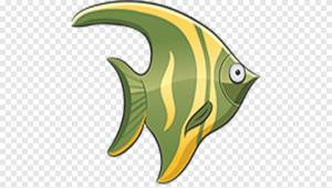 Рыба Рисование плавник, рыба, морские млекопитающие, животные png