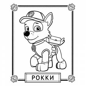 Раскраска Рокки