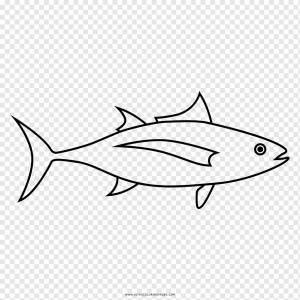Книжка-раскраска Drawing Line art Мандала, атум, морской млекопитающий, белый, морепродукты png