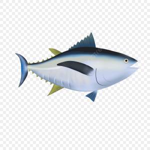 большой тунец рисованной мультфильм иллюстрации Png изображение   PNG , тунец, Сырая рыба, белок PNG картинки и пнг PSD рисунок для й загрузки