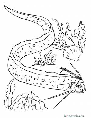 Угорь» раскраска для детей