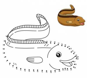 Раскраска угорь от точки к точке для детей
