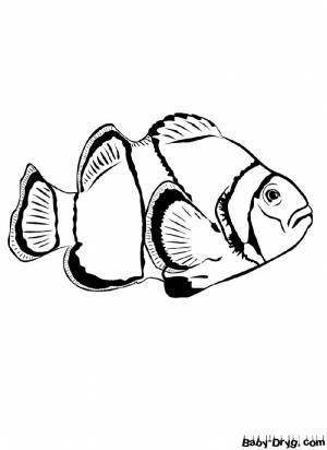 Раскраска Угорь для детей