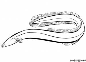 Раскраска Угорь для детей