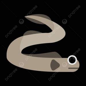 электрический угорь PNG , угорь, рыба угорь, морские животные PNG картинки и пнг рисунок для й загрузки