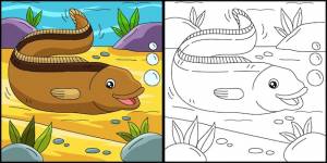 Угорь раскраски страницы цветные иллюстрации