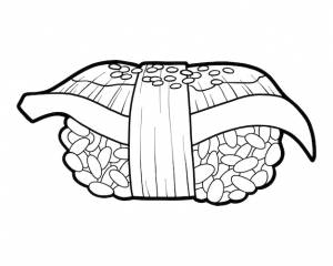 Книжка-раскраска угорь нигири суши с рисом