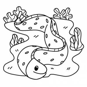 Раскраски страницы алфавиты животных мультфильм морской угорь