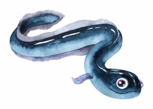 Акварельные обитатели океана морской угорь на белом фоне