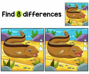 Угорь животное найди отличия