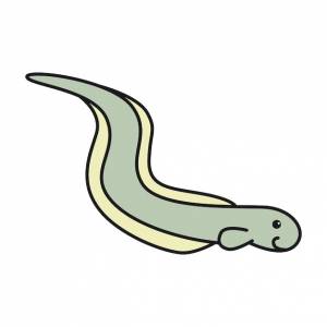 Морской угорь