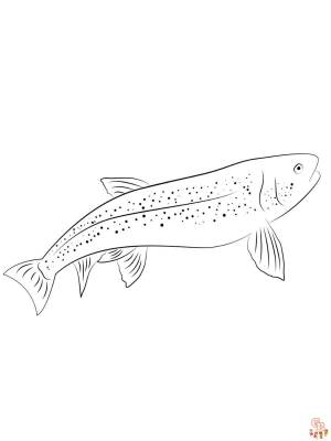 Раскраски с форелью для печати  для детей и взрослых