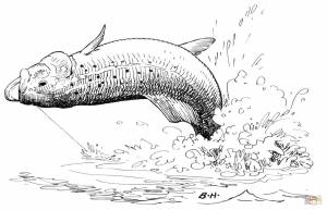 Раскраска Форель в прыжке