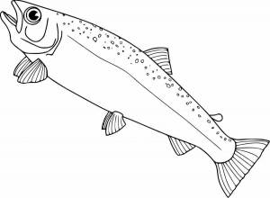 Раскраски рыба треска