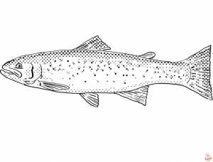 Раскраски с форелью для печати  для детей и взрослых