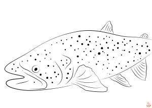 Раскраски с форелью для печати  для детей и взрослых