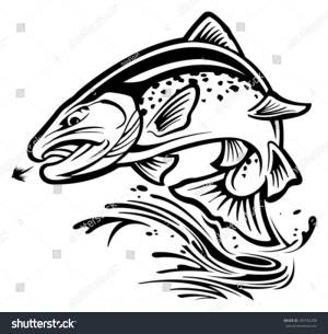 Trout Stock Vector