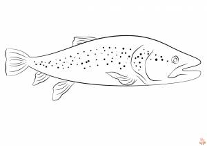 Раскраски с форелью для печати  для детей и взрослых