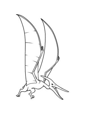 Раскраски Птеродактиль