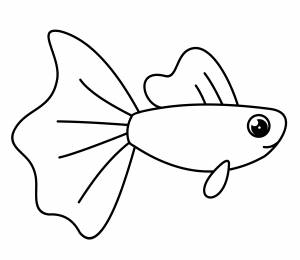 Раскраска Рыбка-петушок