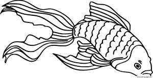 DataLife Engine > Версия для печати > Раскраски рыба петушок