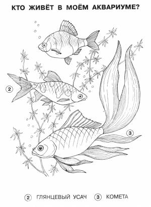 Раскраска Аквариум