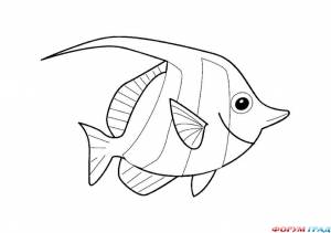 Детские раскраски