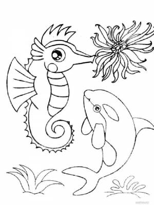 Картинка Морские обитатели  раскраску онлайн