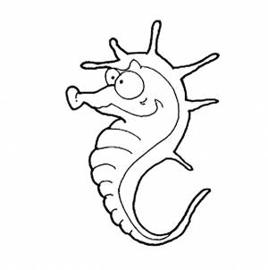 Раскраски вот, Раскраска Рыба клоун Морские животные